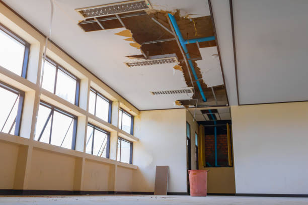 Best 24-hour water damage restoration  in Galva, IL