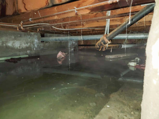 Best Sewage cleanup and water damage restoration  in Galva, IL