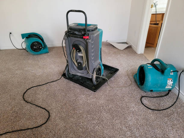Best Water damage restoration process  in Galva, IL