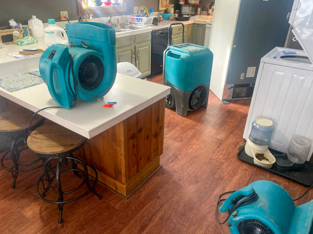 Best Water damage restoration experts  in Galva, IL