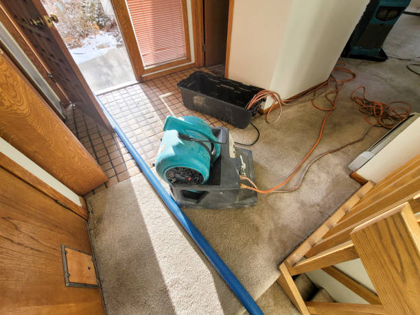 Best 24/7 water damage repair  in Galva, IL