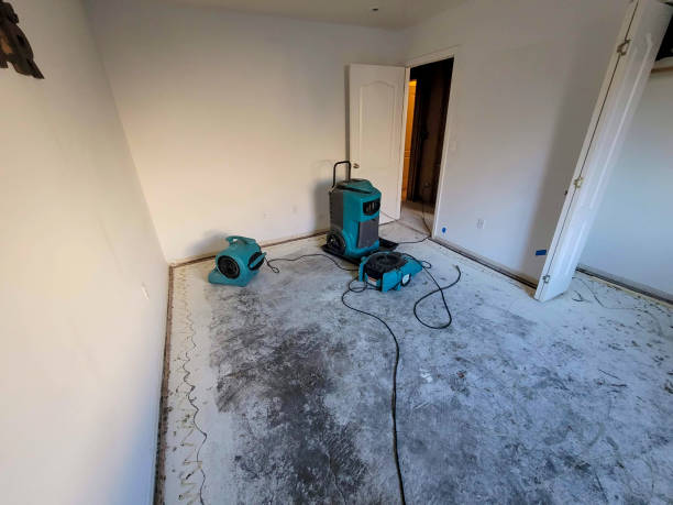 Best Flood restoration services  in Galva, IL