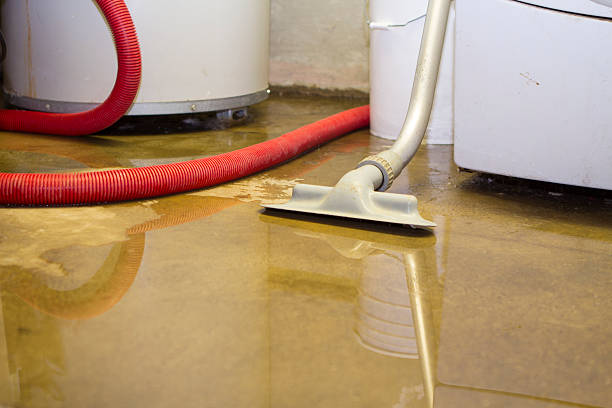 Trusted Galva, IL Water damage restoration Experts