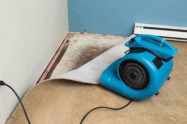 Best Professional water damage repair  in Galva, IL